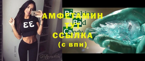 гидра Новодвинск