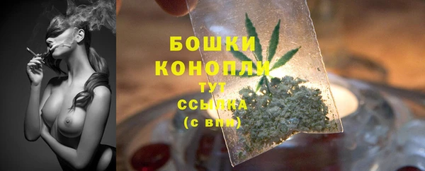 гидра Новодвинск